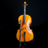 Cello, voksen (fra 25 år)