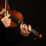 Violin